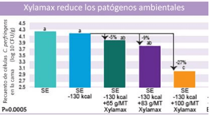 La eficacia de Xylamax en el desempeño comercial de pollos de engorde. - Image 4