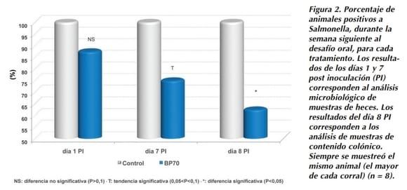 Evaluación de la eficacia del Butirato Sodico Protegido en la prevención de la Salmonelosis Porcina - Image 2