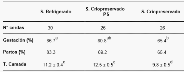 Avances para mejorar los resultados reproductivos en porcino utilizando semen criopreservado - Image 3