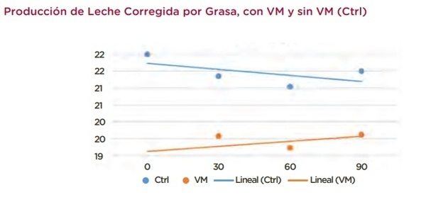 Prolact VM+ - Más leche todo el año - Image 3
