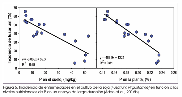 Manejo de la fertilización de cultivos en el medio oeste de EE.UU. - Image 5