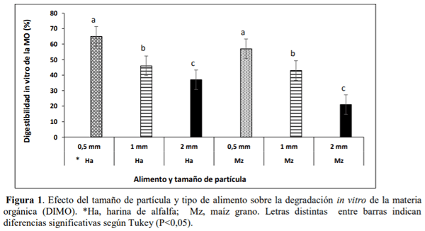 SOCHIPA - EFECTO DEL TAMAÑO DE PARTÍCULA SOBRE LA DIGESTIBILIDAD RUMINAL IN VITRO DE LA MATERIA ORGÁNICA DETERMINADA CON EXTRACTOS ENZIMÁTICOS - Image 1