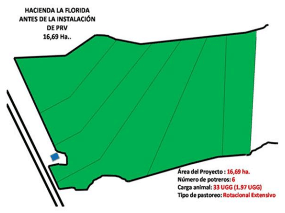BOTERO - CAPÍTULO IX PASTOREO RACIONAL INTENSIVO VOISIN UNA OPCIÓN PARA INTENSIFICAR Y HACER MÁS AMIGABLE CON EL AMBIENTE LA PRODUCCIÓN CON RUMIANTES EN PASTOREO EN EL TRÓPICO - Image 17