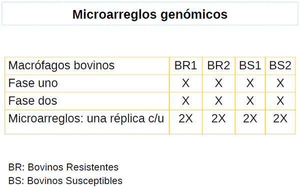 Identificación de biomarcadores de resistencia natural a Mycobacterium bovis en el ganado bovino - Image 17