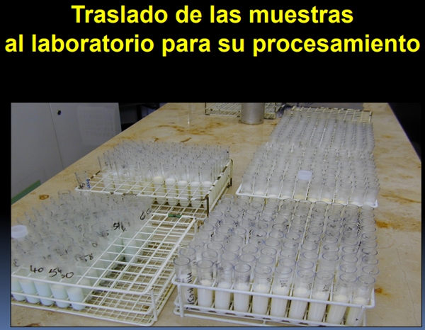 Lista de control para la visita al establo lechero toma correcta de muestras - Image 19