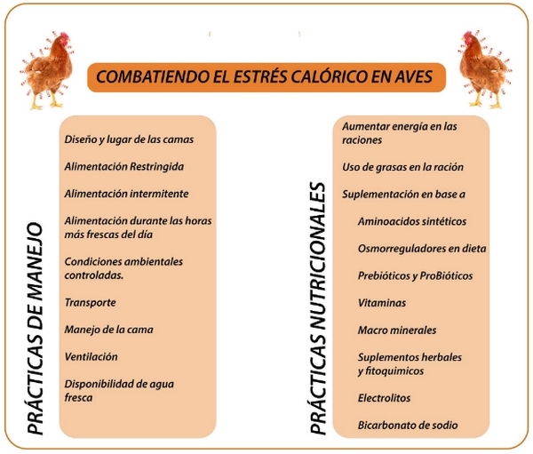 Estrés térmico: Estrategias de prevención y control - Image 2