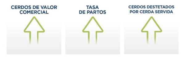 Cerdas: Plasma mejora el status de salud en todas las fases de produccion - Image 2