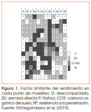 Identificación de factores limitantes del rendimiento de una secuencia de cultivos - Image 2