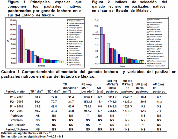 Comportamiento alimentario del ganado lechero en pastizales nativos en el sur del Estado de México. - Image 1