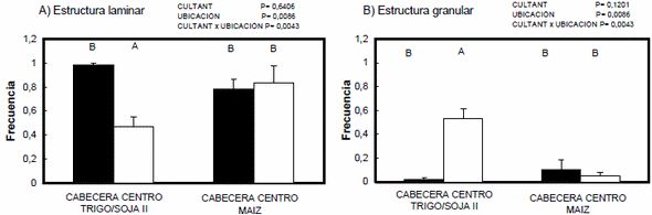 Condición estructural superficial de los suelos bajo siembra directa: Caracterización y génesis - Image 4