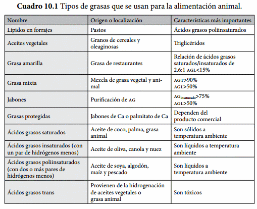 Uso de grasas en la alimentación de ganado de engorda - Image 2