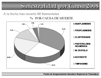 Vacuna contra piroplasmosis en bovinos de Tamaulipas, ventajas y beneficios. - Image 1