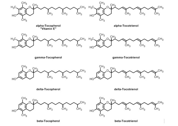 Beneficios de la suplementación con Vitamina E natural - Image 1