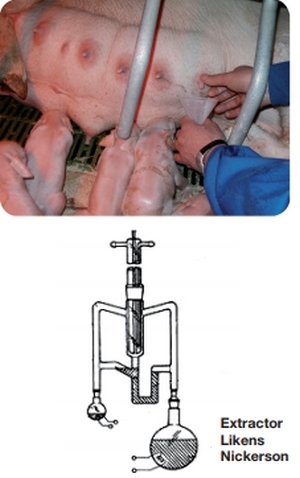 Potenciador del consumo para lechones - Image 12