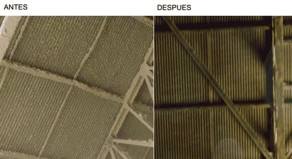 Control Integrado de plagas en alimentos balanceados. Sistemas de Sanitización - Image 8