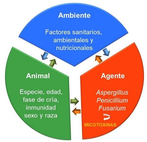 Riesgo Micotoxinas - Image 1