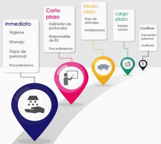 Cómo organizar un plan de mejora en bioseguridad - Image 1