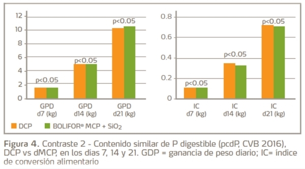 La importancia práctica del sistema de evaluación de la utilización del fósforo - Image 3