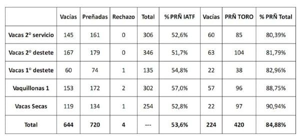 Programa de Mineralización Inyectable en vacas Paridas - Image 1