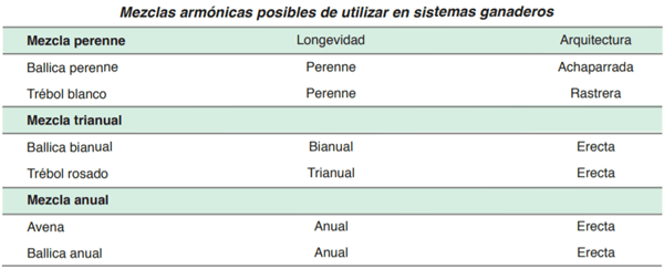 FORRAJERAS - Establecimiento de pasturas y cultivos suplementarios - Image 3