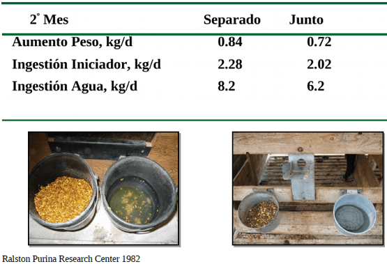 Del nacimiento al destete: Salud y argumentos económicos - Image 25