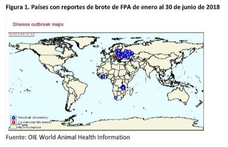 Hallazgos para la prevención de enfermedades virales de alto impacto - Image 1