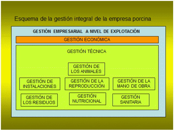 Gestión integral de la empresa porcina. Condición esencial para permanecer en sector - Image 1