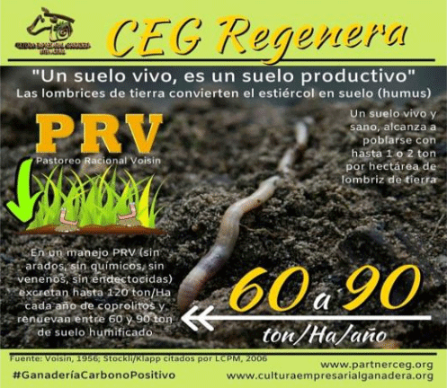 BOTERO - CAPÍTULO IX PASTOREO RACIONAL INTENSIVO VOISIN UNA OPCIÓN PARA INTENSIFICAR Y HACER MÁS AMIGABLE CON EL AMBIENTE LA PRODUCCIÓN CON RUMIANTES EN PASTOREO EN EL TRÓPICO - Image 12