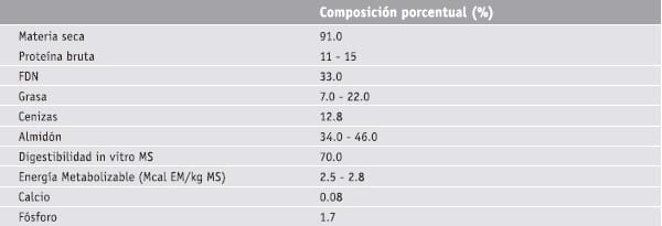 Granos de cereales y sub-productos: Subproductos del arroz - Afrechillo de arroz - Image 1