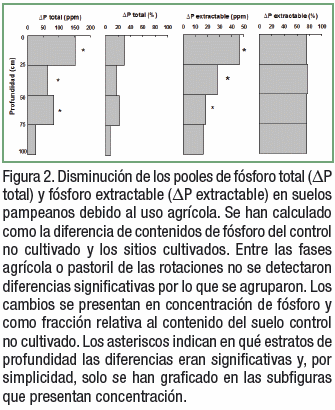 Pérdidas de fósforo total de suelos pampeanos inducidas por el uso agrícola - Image 2