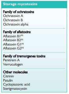 Los lechones también tienen alergias - Image 2