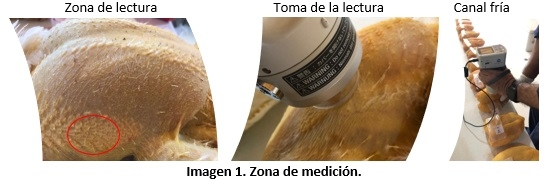 SUPLEMENTACION DE BMD O GLUCOSA OXIDASA EN EL ALIMENTO DE POLLO SOBRE PIGMENTACIÓN - Image 5
