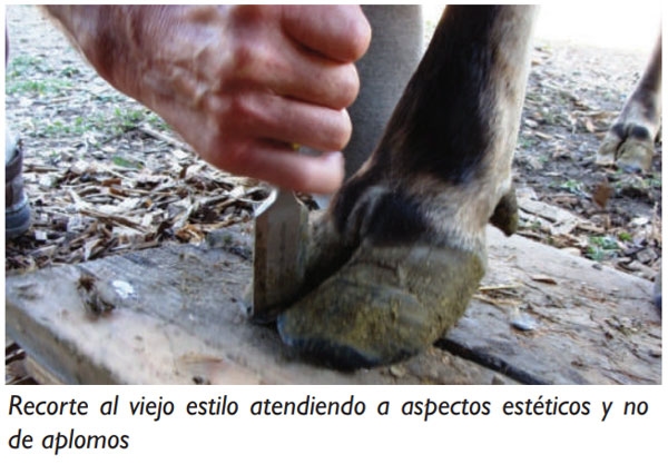 HORIZONTE - EVOLUCIÓN DE LOS CUIDADOS DE PEZUÑAS - Image 5