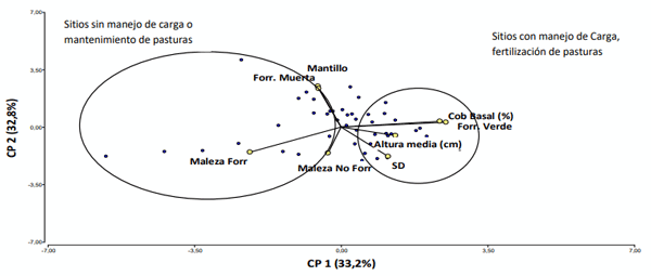 Figura 1. Gráfico de dispersión correspondiente a las dos primeras dimensiones del análisis de componentes principales (ACP) realizado sobre la matriz de correlaciones. Biplot de las variables.