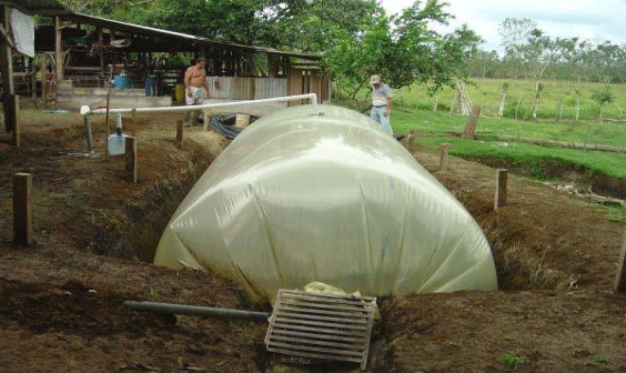 FIGURA 2. Biodigestor en bolsa doble o triple de polietileno de bajo costo, modelo Taiwán, recién instalado (aún sin caseta, ni cerca periférica), operando en una finca familiar.