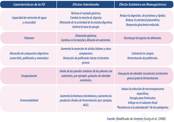 Efecto prebiótico de los polisacáridos - La ventaja de hacer un uso de la fibra dietética en monogástricos - Image 1