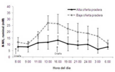 Figura 4. Variación diaria de la concentración de nitrógeno amoniacal (X ± DE) en vacas en pastoreo otoñal, alimentadas con 2 ofertas contrastantes de pradera (25,5 v/s 38,5 kg/MS/vaca/día).