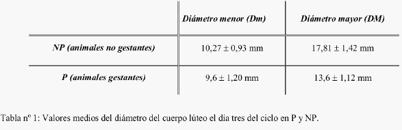 Utilización de técnicas Ecográficas en la mejora de la Reproducción en ganado vacuno - Image 1
