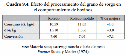 Procesamiento de los granos - Image 4