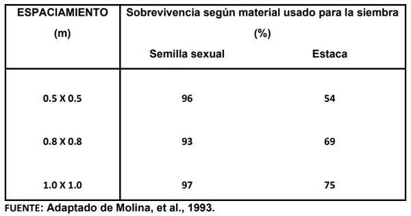 CUADRO 3. Sobrevivencia de arbustos de Gliricidia sepium en bancos forrajeros plantados por semilla sexual o por estaca a tres diferentes espaciamientos y después de 10 cortes (40 meses a partir de la siembra). Reserva Natural El Hatico, Valle del Cauca, Colombia.