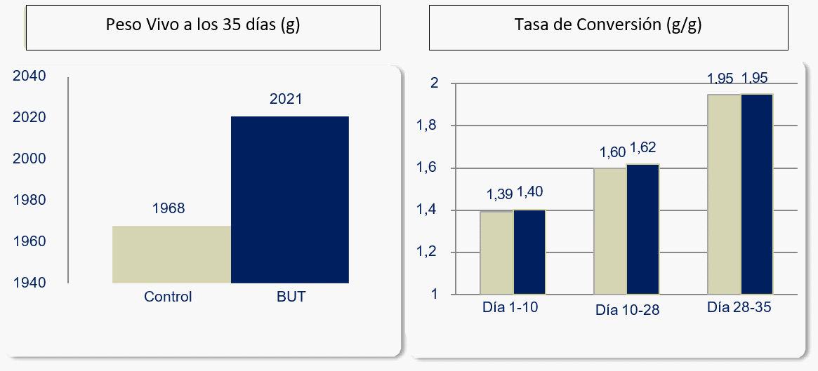 Butirato como ingrediente funcional con valor nutricional para pollos - Image 1