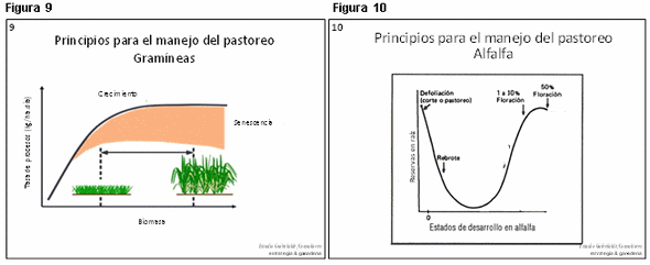 Estimando producciones de forraje desde el cielo con el índice verde una herramienta al alcance de todos el iv y otras herramientas tecnológicas en la gestión de sistemas pastoriles - Image 5