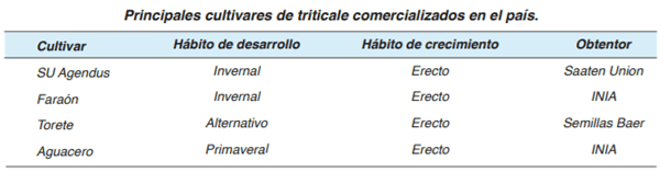 FORRAJERAS - Forrajes suplementarios - Image 18