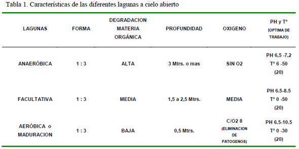 Pautas básicas para el manejo de efluente porcino - Image 7
