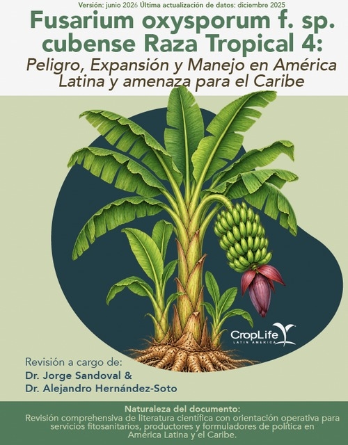Fusarium Raza Tropical 4 en América Latina y el Caribe - Image 1