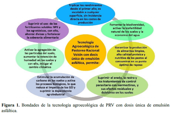 Pastoreo Racional Voisin con dosis única de emulsión asfáltica y roca fosfórica en suelos ácidos de baja fertilidad natural - Image 1