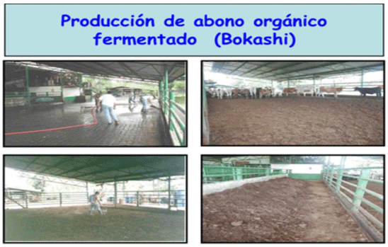 BOTERO - CAPÍTULO VI: PRODUCCIÓN DE ABONOS ORGÁNICOS, COMO ESTRATÉGIA PARA REDUCIR LA CONTAMINACIÓN AMBIENTAL COMO PRODUCTO DE LA GANADERÍA TROPICAL OPCIONES PARA EL MANEJO PRODUCTIVO DE EXCRETAS EN SISTEMAS GANADEROS TROPICALES - Image 5