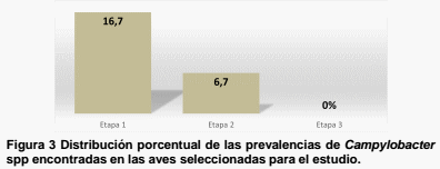 Campylobacter spp. y factores asociados a su presencia en el proceso de faenado de pollos en una planta de Medellín, Colombia - Image 3
