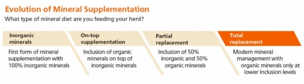 ¿Cómo pueden las cerdas obtener más beneficios con menos minerales? - Image 2
