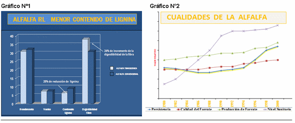 Avances en mejoramiento genetico del cultivo de alfalfa - Image 5